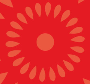 <span>Chrysanthemum Partners</span><i>→</i>